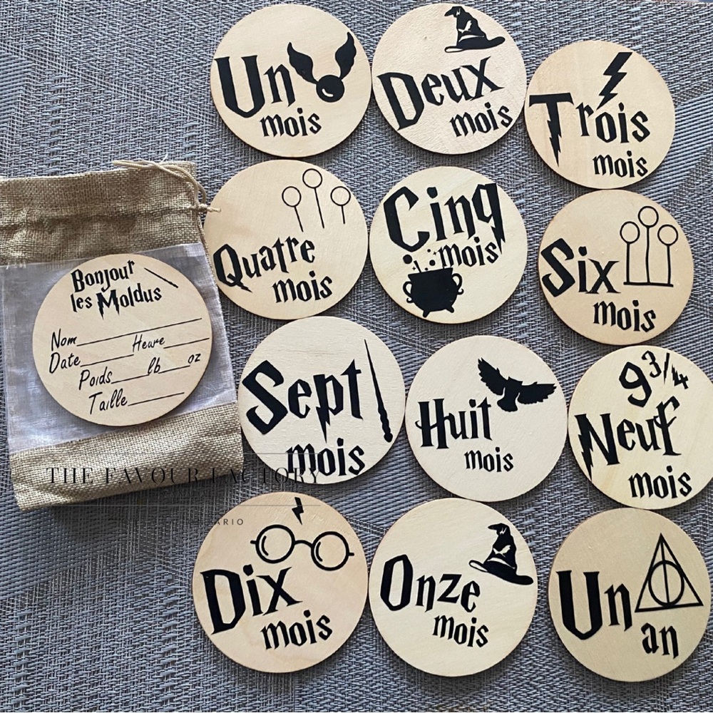 Bonjour les Moldus - Harry Potter Monthly Milestone Discs (en français)